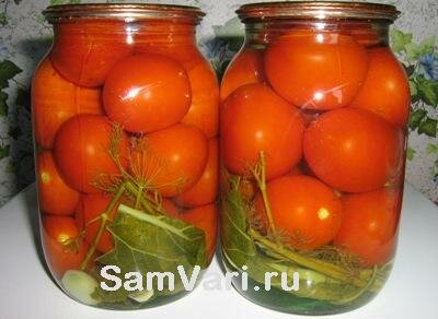 консервированные маринованные помидоры